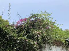 -鼓浪屿风景名胜区-英国领事馆旧址