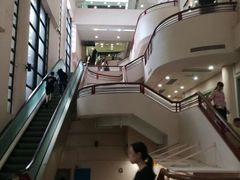 -香港大学