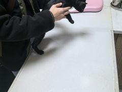 -爱佳宠物中心医院24H·CT·骨外科·猫专科(瑶海万达店)