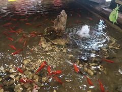 -弘医堂中医院
