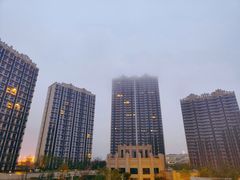 -WEPARK 芳草寓