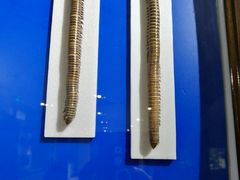 -上海昆虫博物馆