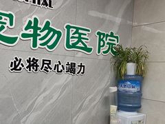 -半岛宠物医院24小时(白果林店)