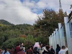 -泉州海丝野生动物世界