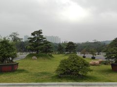 -广西壮族自治区药用植物园