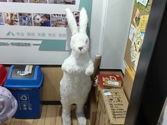 -瑞派·关忠动物医院猫科外科·异宠·24小时转诊中心(祥云店)