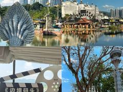 -西双版纳原始森林公园