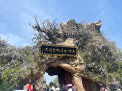 -大槐树寻根祭祖园