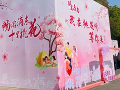 -南汇桃花村