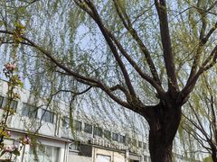 -元大都城垣遗址公园
