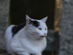 -阪急百货店(梅田总店)