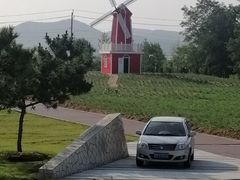 -羊亭河湿地公园