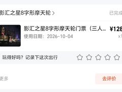 -影汇之星8字形摩天轮