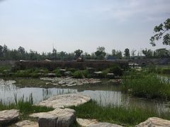 -泗洪洪泽湖湿地景区