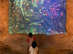 -杭州开元森泊度假乐园