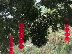-荔湾湖公园