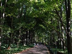 -昆明植物园