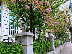 -天津五大道文化旅游区