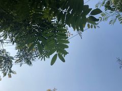 -仙岳公园