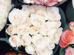 -双季花艺园艺市场(浦东店)