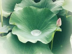 -梁鸿国家湿地公园