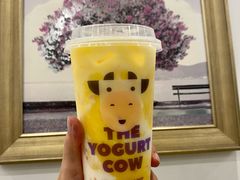 酸奶杨枝甘露-一只酸奶牛(八一路店)