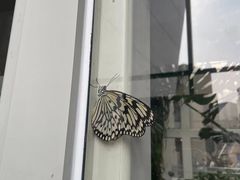 -浙江自然博物院(杭州馆)