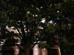 -巴厘龙虾·榜首油焖大虾(洞庭·艺术洋房店)