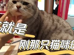 -Promise 国风宠物空间(上邦百汇城店)