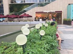 -哈根达斯(深圳海岸城店)