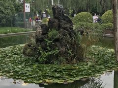 -水车博览园