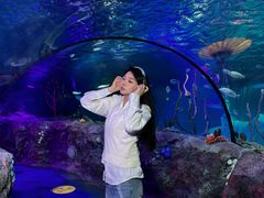 -沈阳海洋探索中心