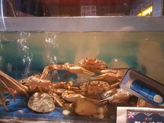 -千代武日本料理(哈西店)