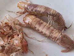 -沿海渔家院蒸汽海鲜·东北菜(东戴河店)