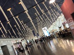 -上海浦东国际机场T1航站楼-P1停车场