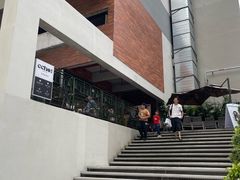 -Echo回声黑胶唱片咖啡馆