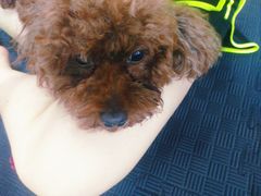-FIGHTMAN格斗俱乐部(长宁临空店)
