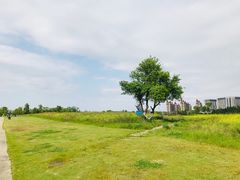 -瑶湖郊野森林公园