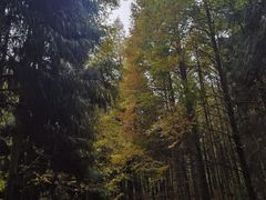 -山王坪喀斯特国家生态公园