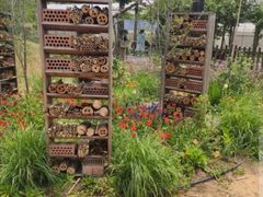 -前小桔亲子创意农场·草莓采摘·露营烧烤