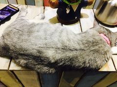-小时光咖啡馆(开森度假森林店)