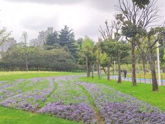 -大宁公园