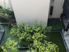 -上海崇明金茂凯悦酒店