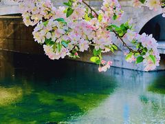 -海棠花溪(元大都城垣遗址公园)