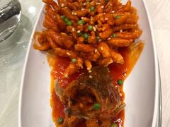 松鼠鱼-金蝉食府(维吉奥广场店)