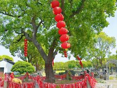 -嬉乐湾休闲旅游区