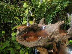 -自然餐厅(Phuket)