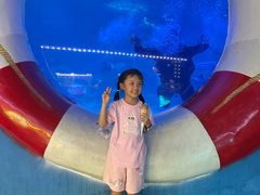 -烟台海昌鲸鲨海洋公园