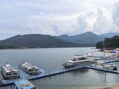 -酒仙湖景区