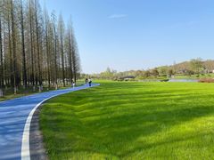 -宜兴龙背山森林公园